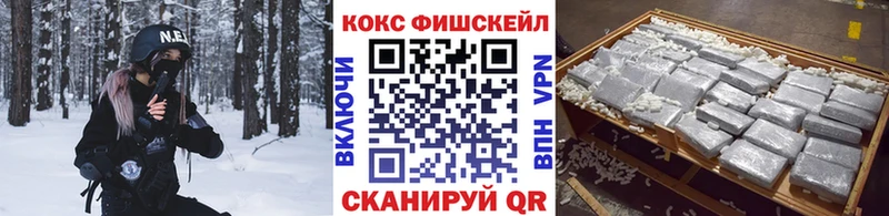 COCAIN Fish Scale  где купить наркотик  Алзамай 